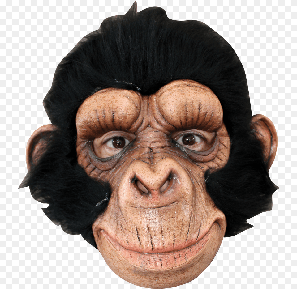Chimp George Monkey Mask, Adult, Person, Woman, Female Free Png