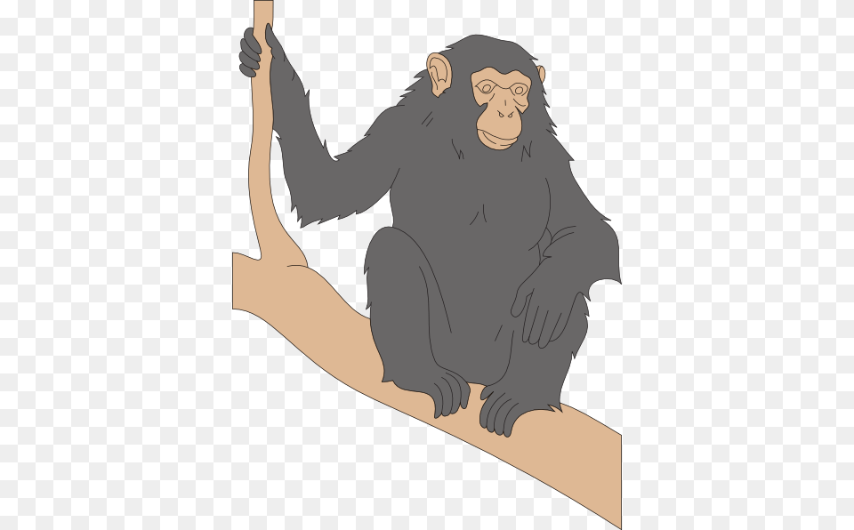 Chimp Sitting On A Branch Clip Art, Animal, Ape, Wildlife, Mammal Free Transparent Png