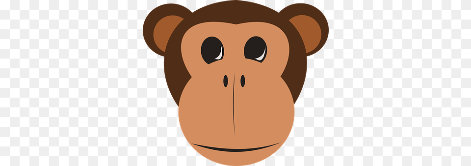 Chimpanzee Animal, Mammal, Baby, Person Png