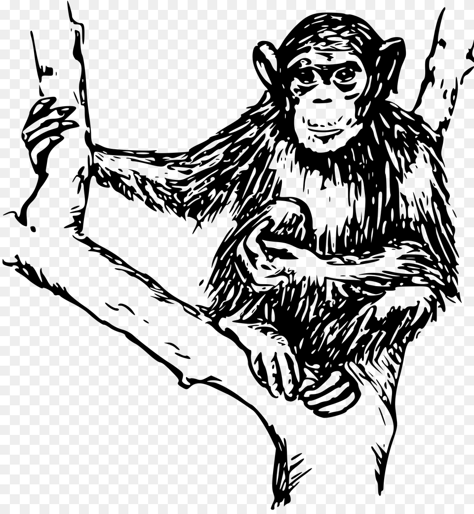 Chimpanzee Ape Gorilla Orangutan Clip Art, Gray Free Transparent Png