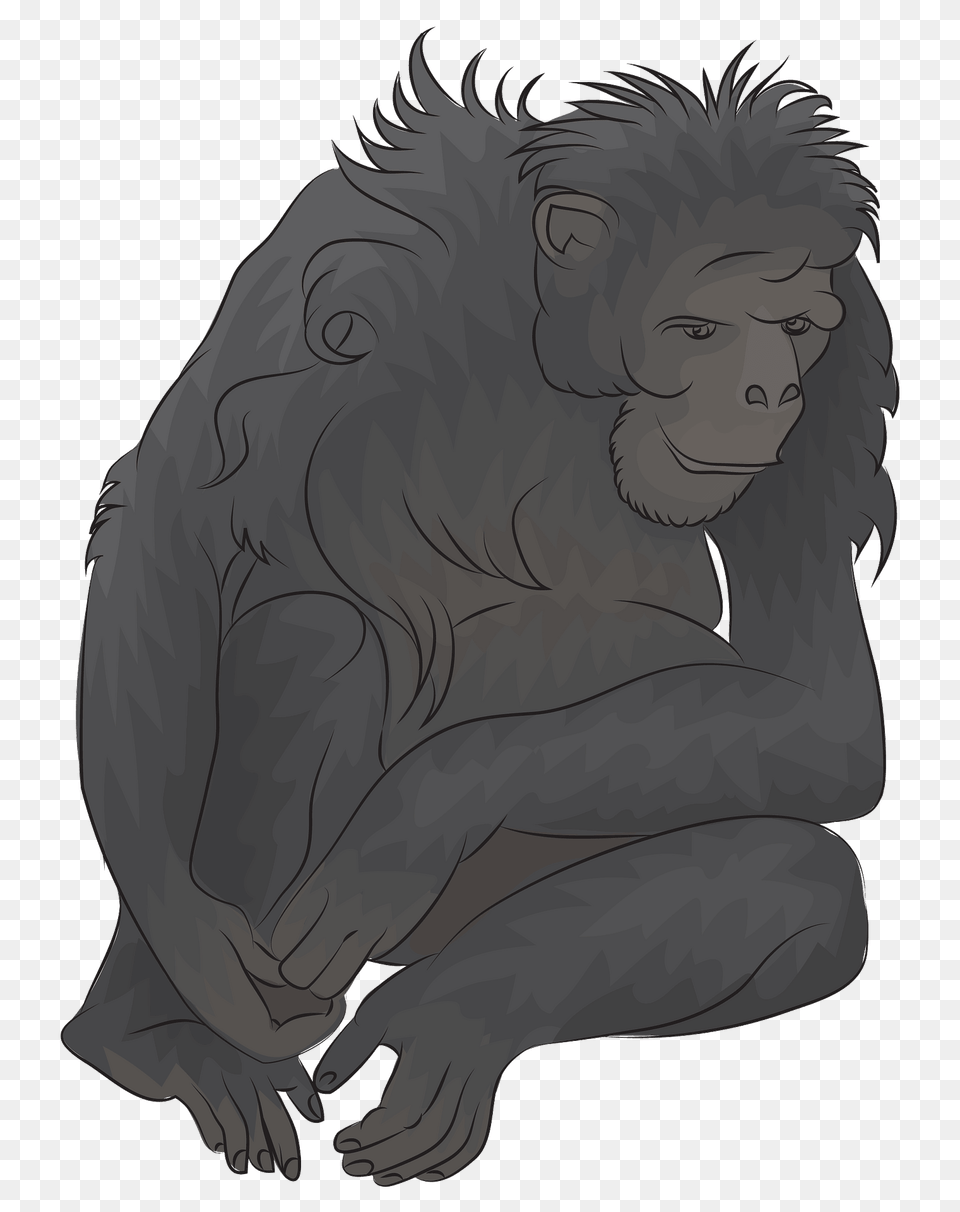 Chimpanzee Clipart, Animal, Ape, Mammal, Wildlife Free Png