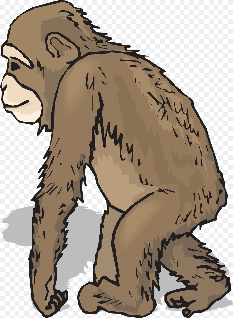 Chimpanzee Clipart Realistic Animal With Fur Cliparts, Ape, Mammal, Wildlife, Person Png Image