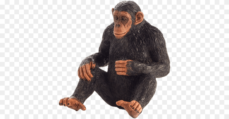 Chimpanzee Mojo Monkey Animal Planet Toy, Mammal, Wildlife, Ape Free Transparent Png