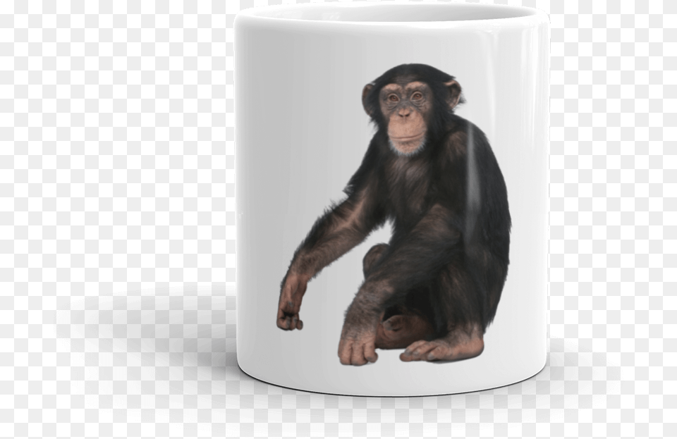 Chimpanzee Mug Monkey With White Background, Animal, Ape, Mammal, Wildlife Free Png