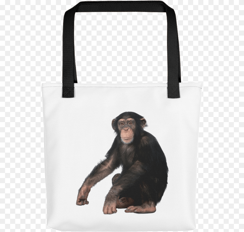 Chimpanzee Print Tote Bag Chimpanzee White Background, Animal, Mammal, Monkey, Wildlife Png