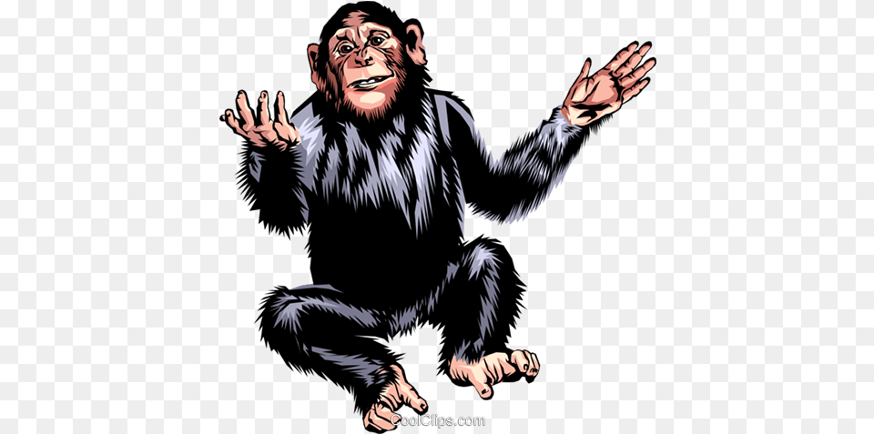 Chimpanzee Royalty Free Vector Clip Art Illustration Animal, Adult, Person, Man, Mammal Png