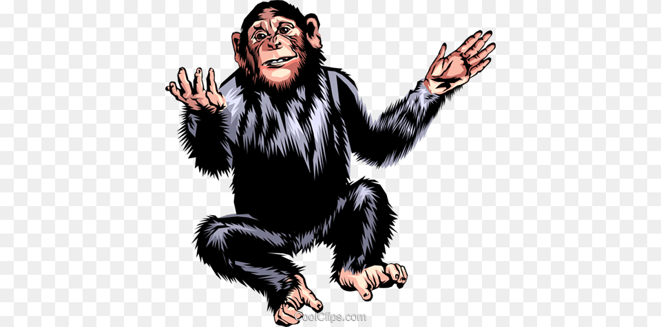 Chimpanzee Royalty Vector Clip Art Illustration, Wildlife, Animal, Ape, Mammal Png