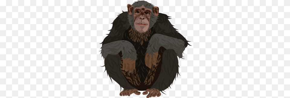 Chimpanzee Ugly, Wildlife, Animal, Ape, Mammal Png Image