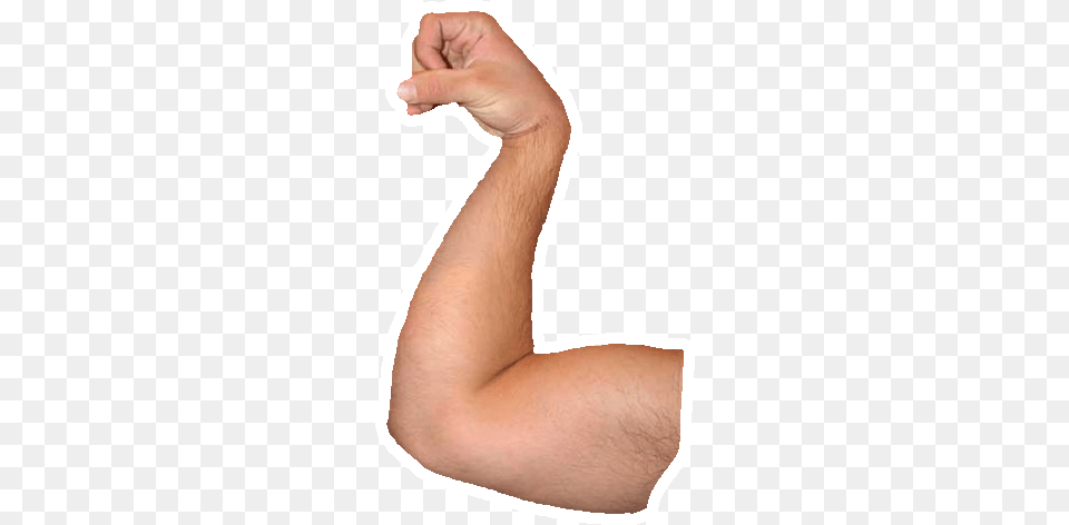 Chin Up Biceps, Arm, Body Part, Person, Baby Free Png Download