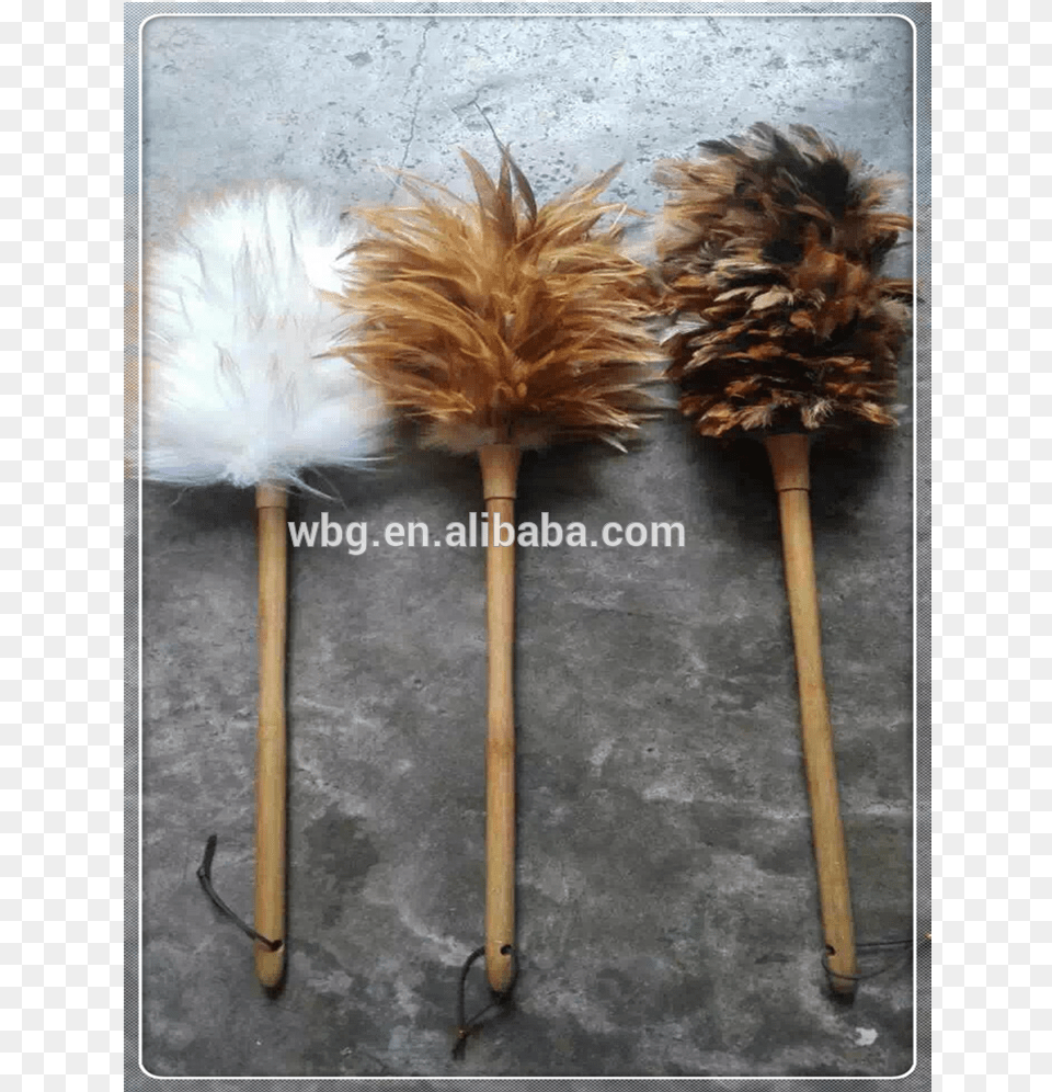 China Factory Chicken Feather Dusters For Cleaning, Flower, Plant Png Image