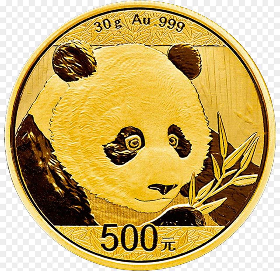 China Panda 30g Gold Coin 2018 Motif Panda Gold Coin 2018, Adult, Male, Man, Person Free Png