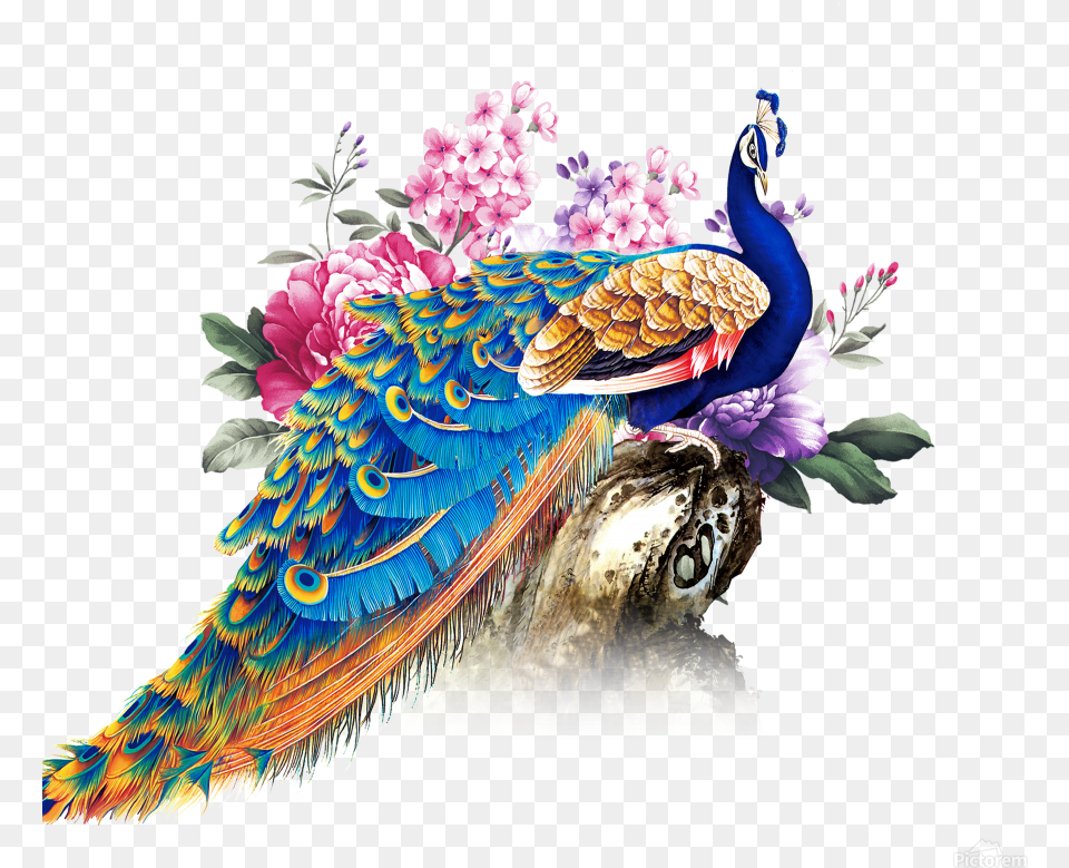 China Wind Peacock Print Peacock, Animal, Bird, Beak Free Transparent Png