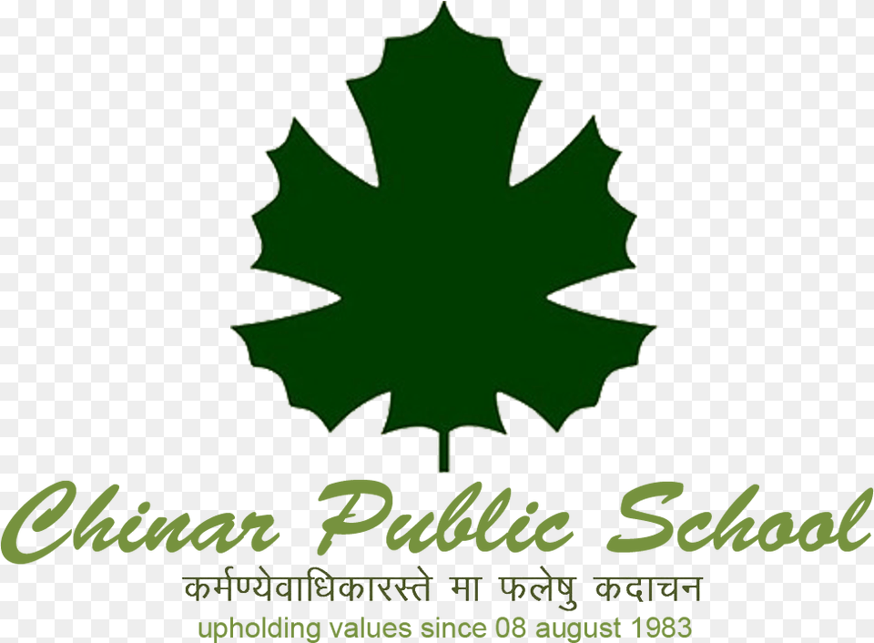 Chinar Public School Alwar, Leaf, Plant, Tree Free Png Download