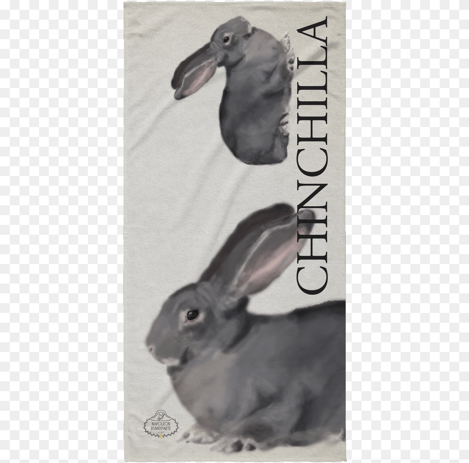 Chinchilla Rabbit Beach Towel No5 Chambers, Animal, Hare, Mammal, Rodent Free Transparent Png