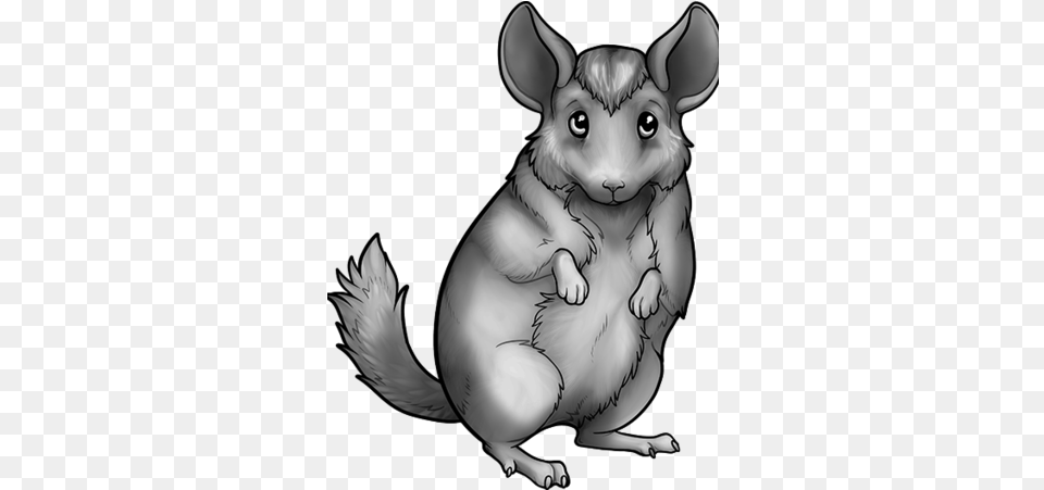 Chinchilla Rat, Art, Drawing, Baby, Person Free Png Download