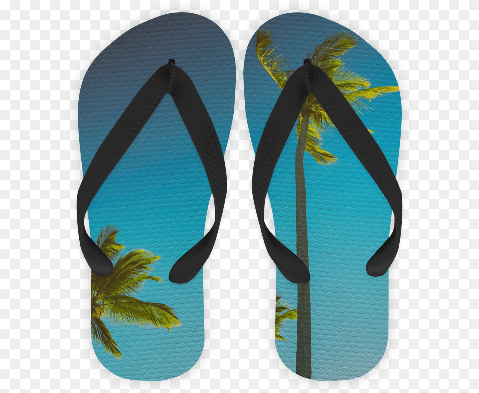 Chinelo Coqueiros Illustration, Clothing, Flip-flop, Footwear Free Png