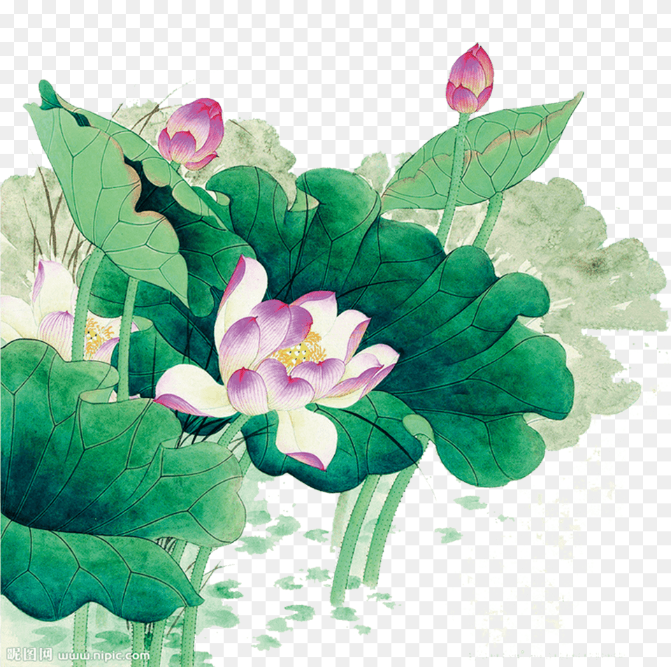 Chinese Brush Painting Peony Wallpaper, Art, Floral Design, Flower, Graphics Free Png