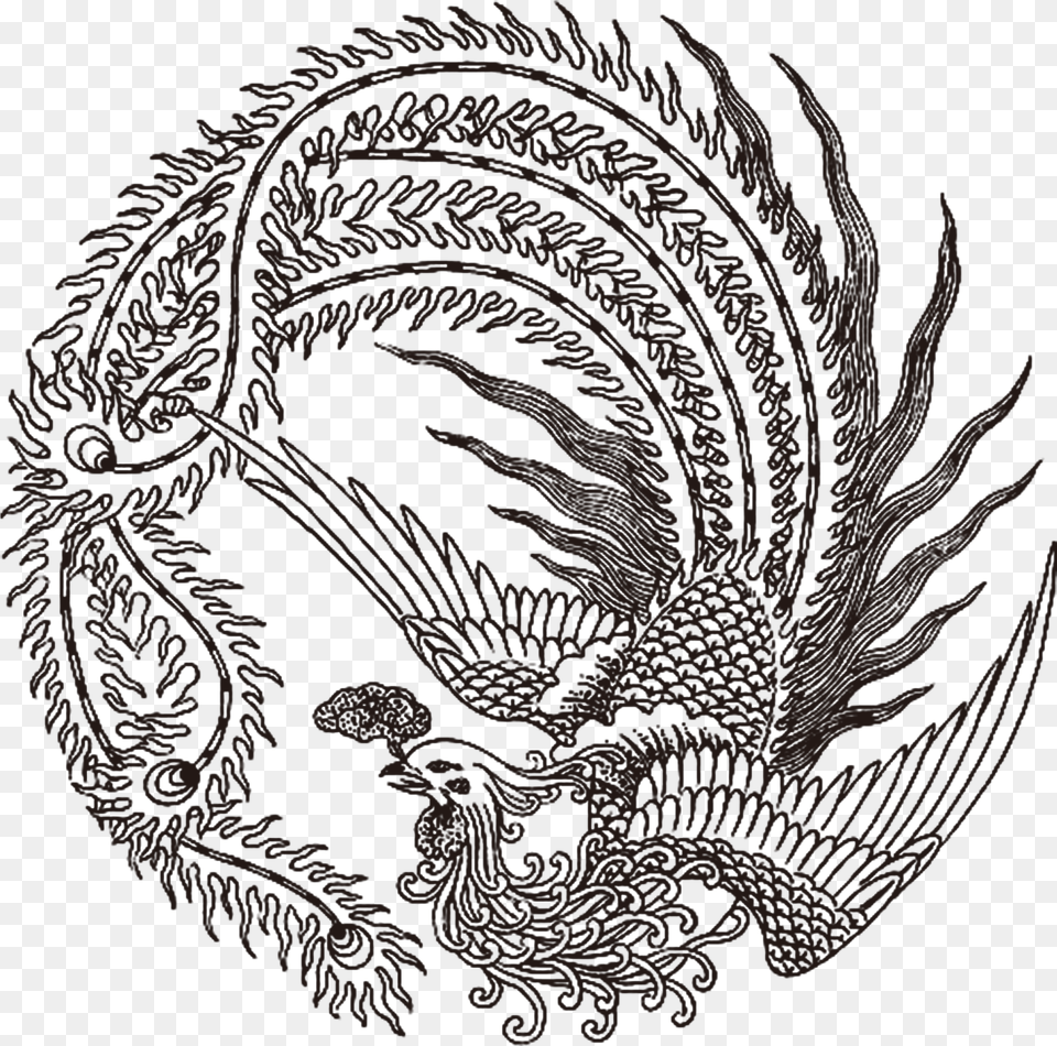 Chinese Drawing Dragon Free Download Chinese Phoenix Tattoo, Pattern, Plant Png Image