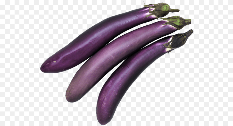 Chinese Eggplant Truong Enterprises Eggplant, Food, Produce, Plant, Vegetable Png