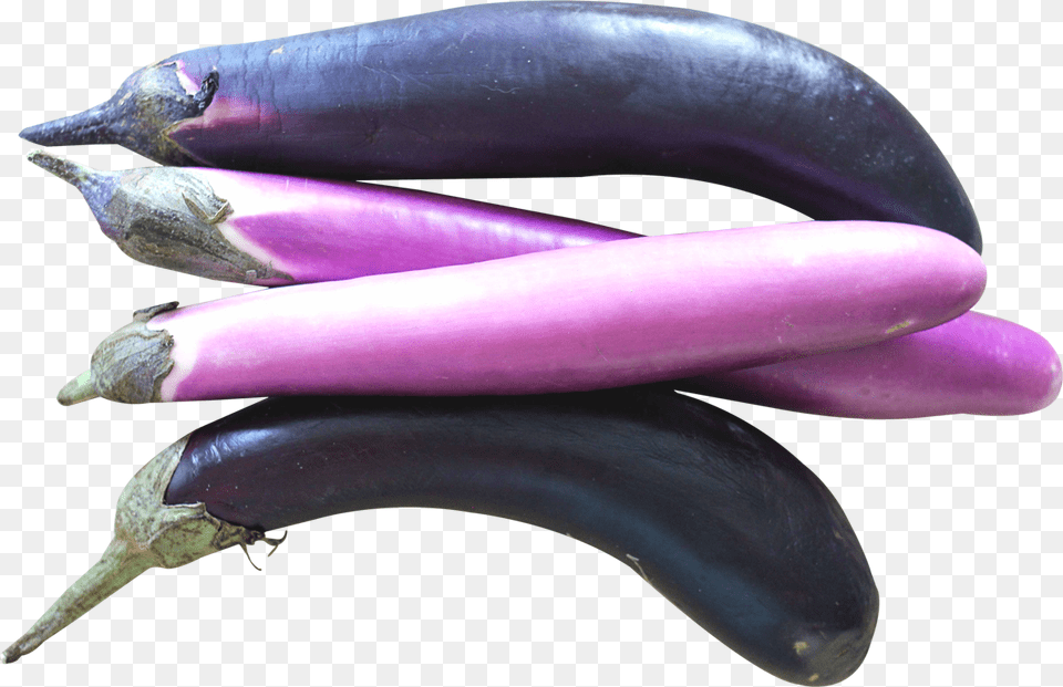 Chinese Eggplants, Food, Produce, Eggplant, Plant Png