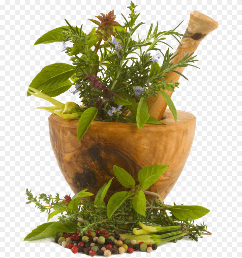 Chinese Herbs Botanical Luxuriate Hair Growth Oil Price, Herbal, Plant, Flower, Flower Arrangement Png Image