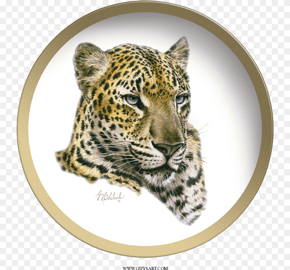 Chinese Leopard Head Plate Drawing, Animal, Mammal, Panther, Wildlife Free Png Download