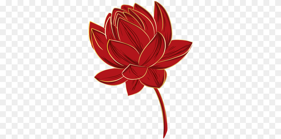 Chinese Lotus Flower Transparent U0026 Svg Vector File Sacred Lotus, Dahlia, Plant Png Image