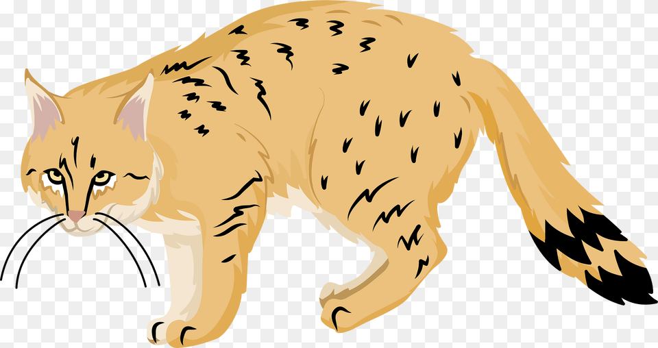 Chinese Mountain Cat Clipart, Baby, Person, Animal, Mammal Png