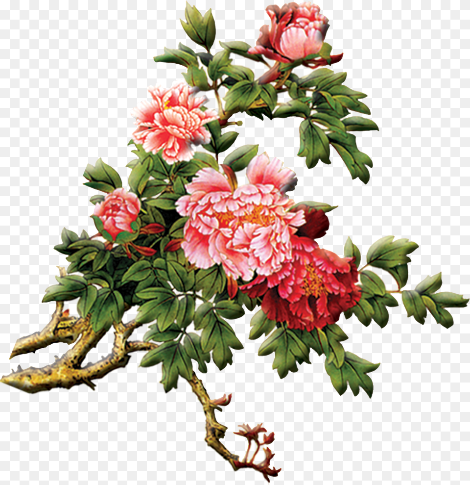 Chinese Painting Peony, Art, Dahlia, Floral Design, Flower Free Transparent Png