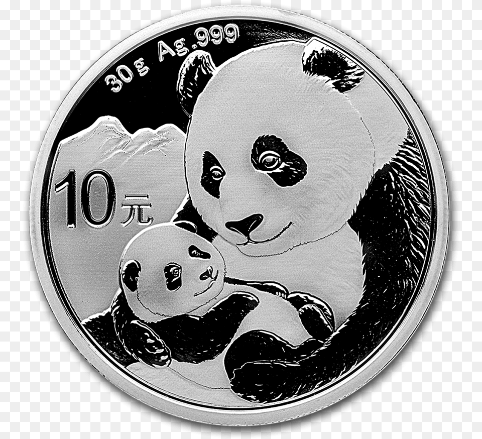 Chinese Panda Silver Coin Obverse Chinese Panda Silver Coin, Money, Baby, Person, Face Png
