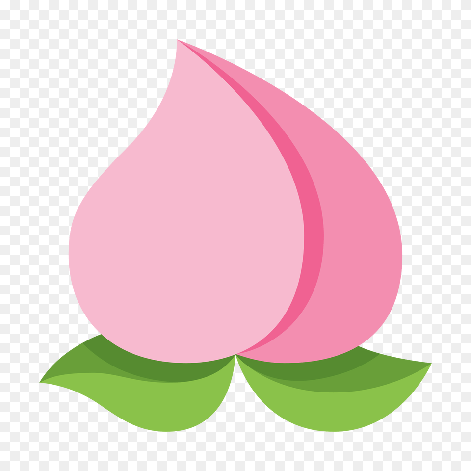 Chinese Peach Icon, Flower, Plant, Petal, Sprout Free Png Download