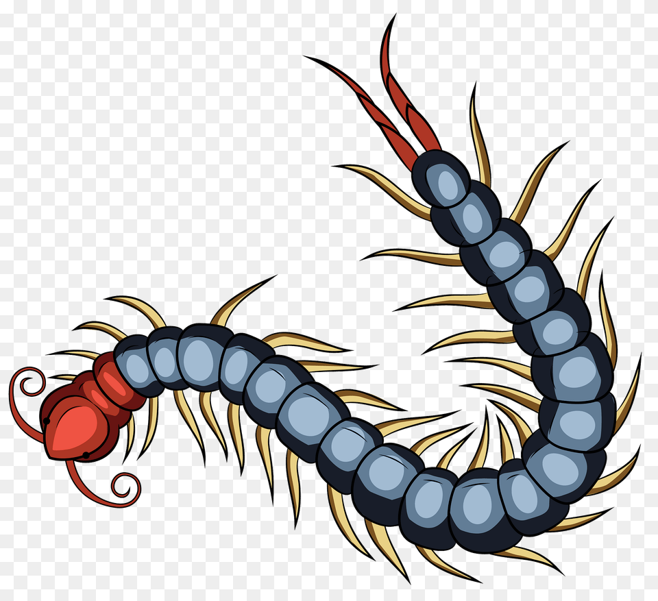 Chinese Red Headed Centipede Clipart, Animal Free Png