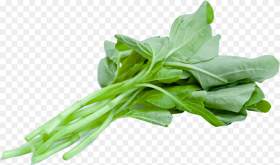 Chinese Spinach For Spinach, Food, Leafy Green Vegetable, Plant, Produce Png Image