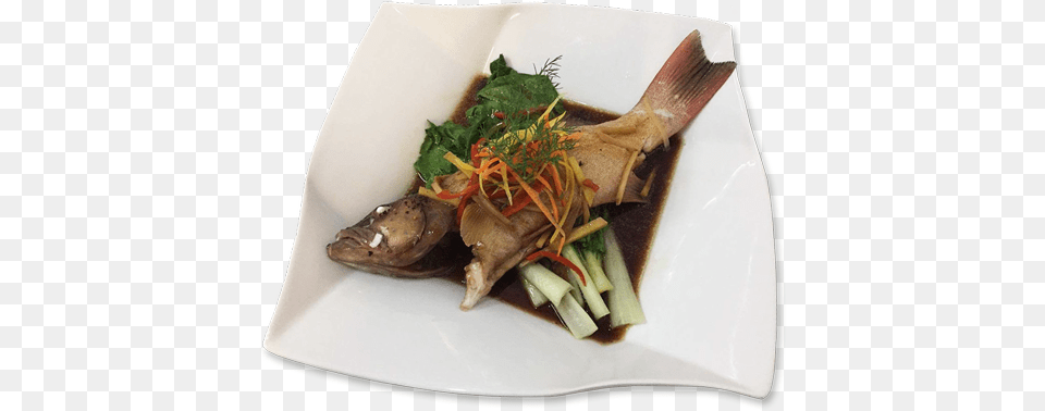 Chinese Steamed Grouper Donatela Hotel, Food, Food Presentation, Meal, Dish Free Png Download