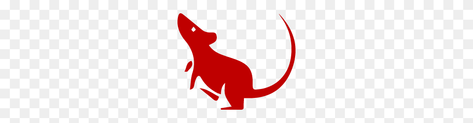 Chinese Zodiac Rat Symbol Chinese Zodiac Chinese Zodiac, Animal, Gecko, Lizard, Reptile Png Image