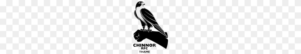 Chinnor Rugby Logo, Animal, Bird, Kite Bird, Hawk Png