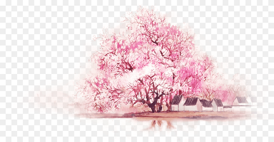 Chinoiserie Pink Watercolor Painting Wallpapers Blossom Tree Watercolor, Flower, Plant, Cherry Blossom, Adult Free Png