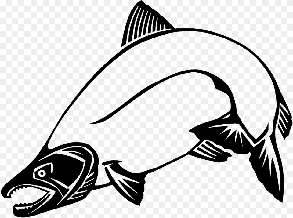 Chinook Salmon Clip Art Coho Salmon Clip Art, Stencil, Animal, Fish, Sea Life Free Png Download