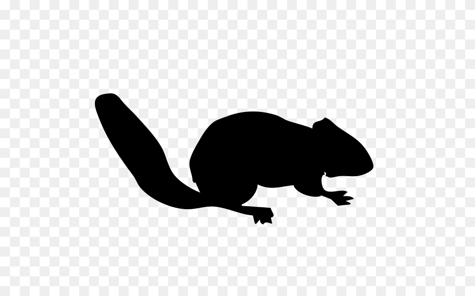 Chipmunk Contour Clip Arts For Web, Gray Free Transparent Png