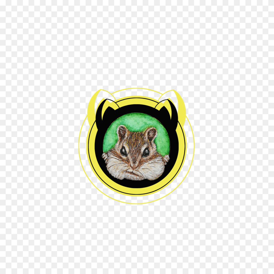 Chipmunk Kangaroo Rat, Animal, Cat, Mammal, Pet Png