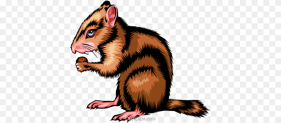 Chipmunk Royalty Vector Clip Art Illustration, Animal, Mammal, Dinosaur, Reptile Png Image