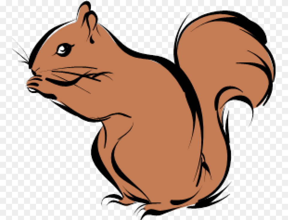 Chipmunk Squirrel Clipart, Animal, Mammal, Person, Rodent Free Transparent Png