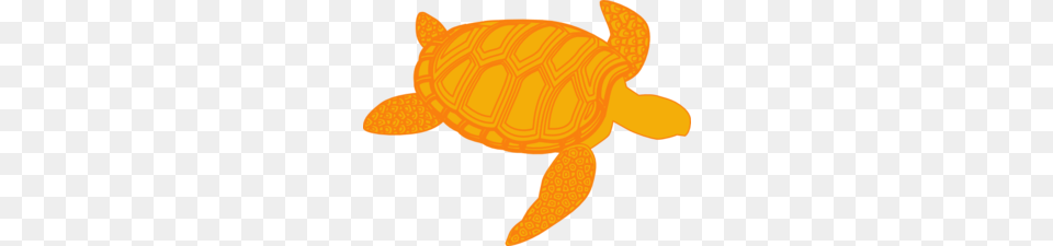 Chippy Clip Art, Animal, Reptile, Sea Life, Tortoise Png