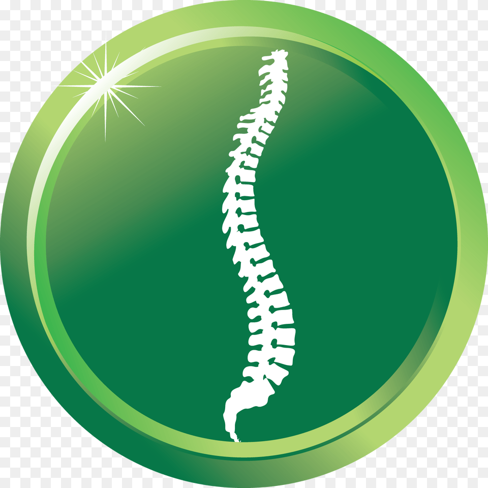 Chiropractic, Green Free Png Download