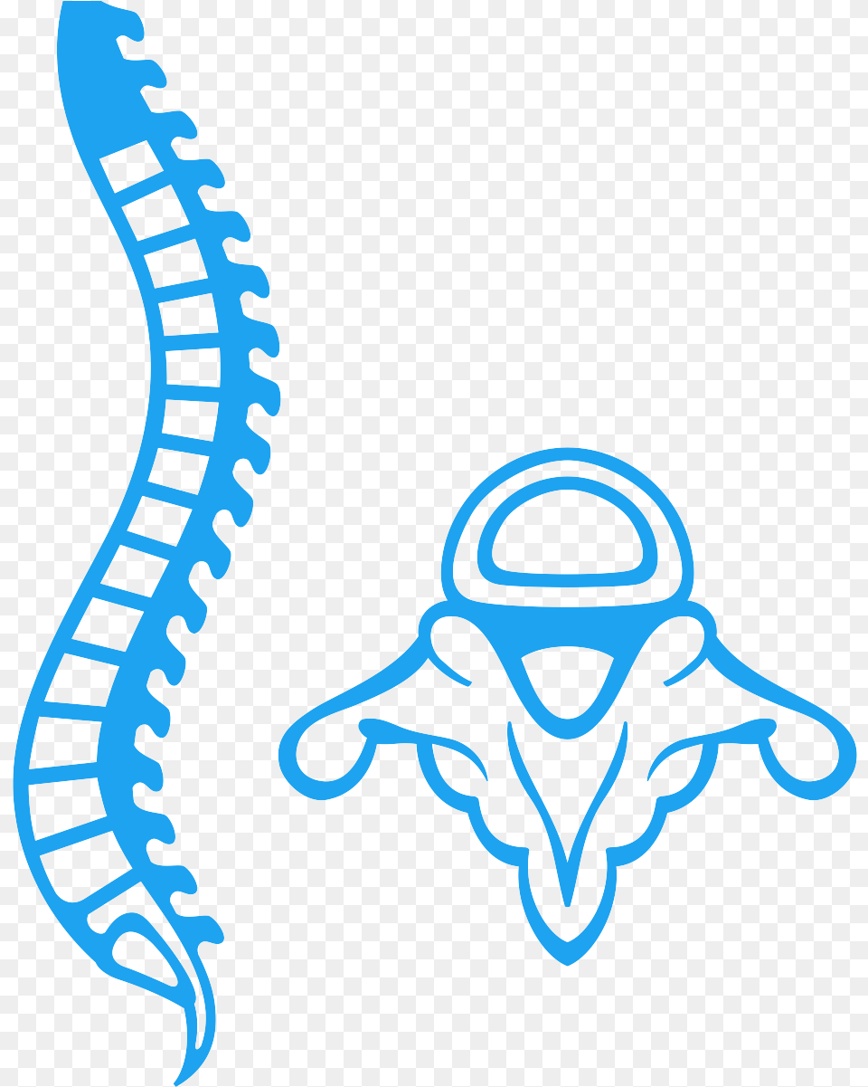 Chiropractor Sandton Spine Medula Vector, Person Free Png Download