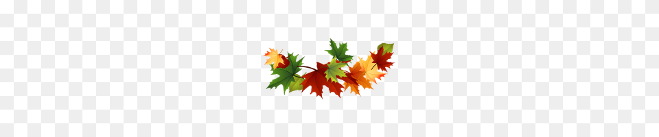 Chiu Icon And Clipart Freepngclipart, Leaf, Plant, Tree, Maple Leaf Free Png Download