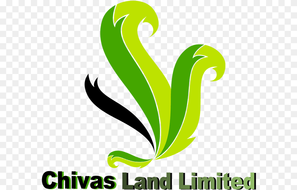 Chivas Land Limited Calligraphy, Animal, Bird Free Transparent Png