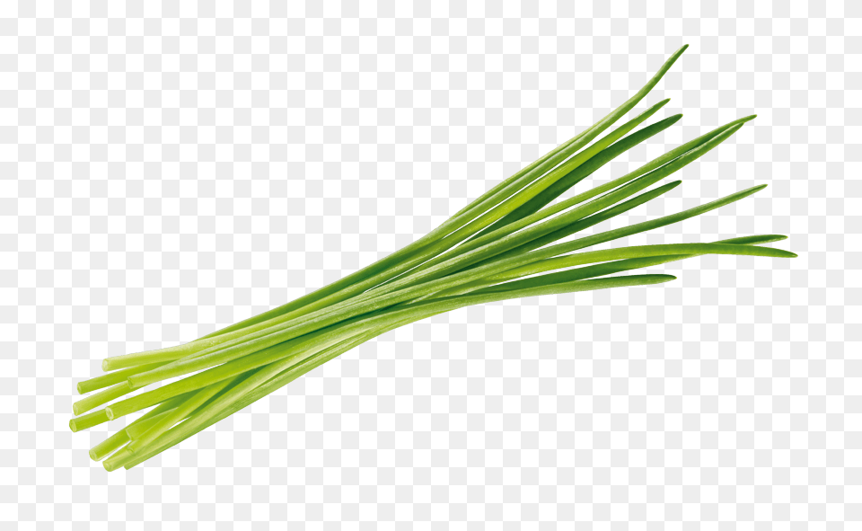 Chives, Food, Plant, Produce, Spring Onion Free Png Download