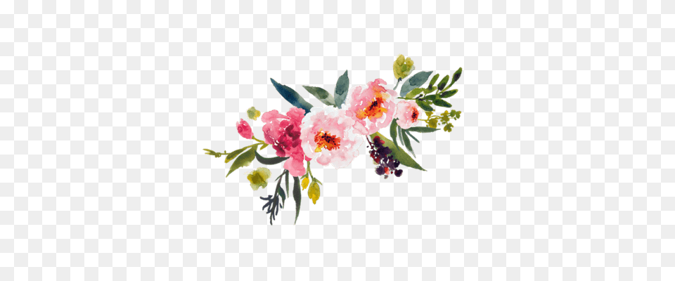 Chloe O Boutique, Flower, Plant, Art, Painting Png