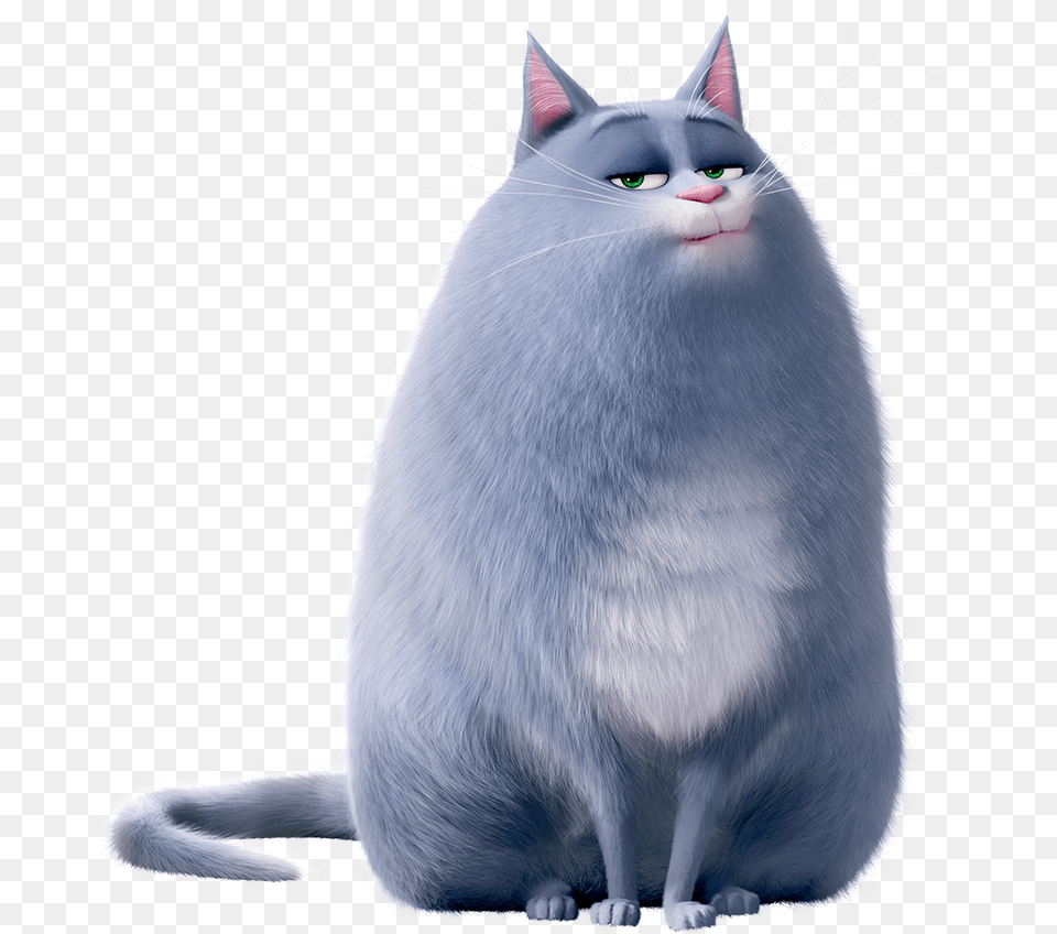 Chloe Pets Tiberius The Secret Life Of Pets, Angora, Animal, Cat, Mammal Free Png